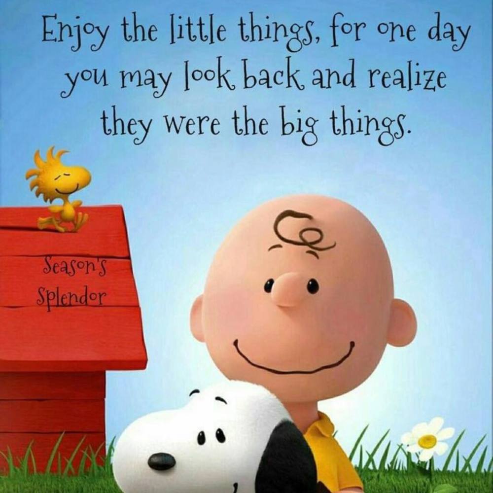 Meet your Posher, Sandy